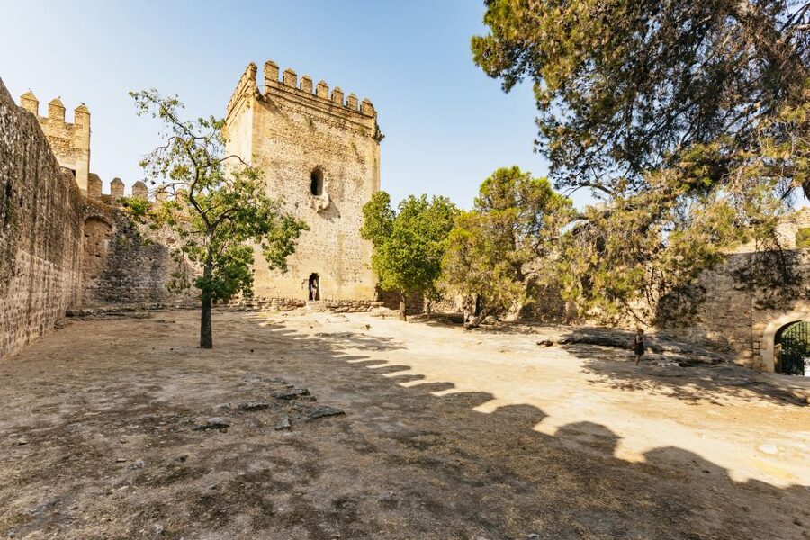 From Seville: Pueblos Blancos and Ronda Full-Day Trip - The Drive Toward Ronda: Honey, Cork, and Iberian Livestock