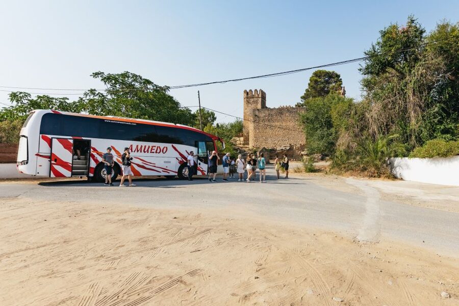 From Seville: Pueblos Blancos and Ronda Full-Day Trip - Guides and Drivers: The Real Quality Factor
