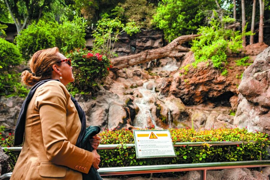 From South Tenerife: Loro Park Zoo Ticket & Hotel Transfers - Planet Penguin: the Antarctic mood, and why it gets crowded first
