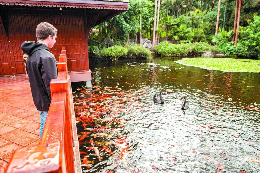 From South Tenerife: Loro Park Zoo Ticket & Hotel Transfers - Food planning: skip the pricey disappointment and eat smart