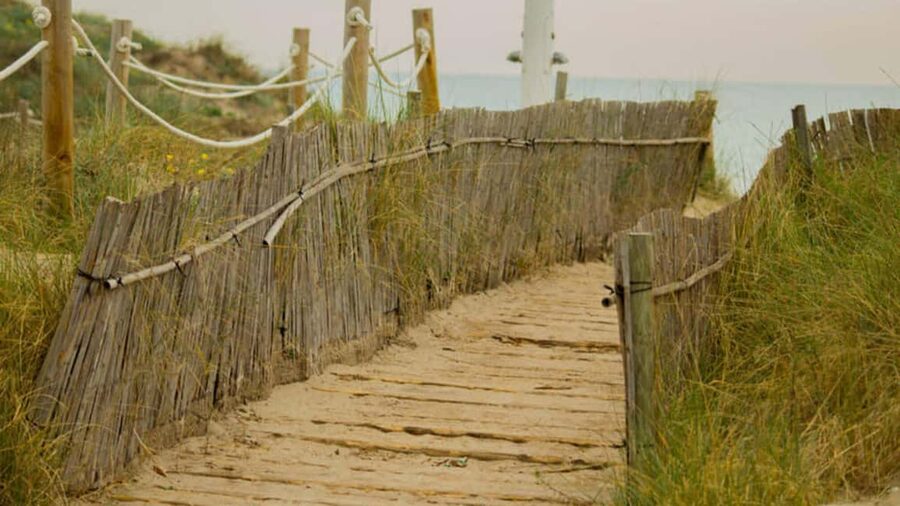 From Valencia: Albufera Natural Park Eco Boat Tour & Sunset - Key things to love about this Albufera eco boat tour