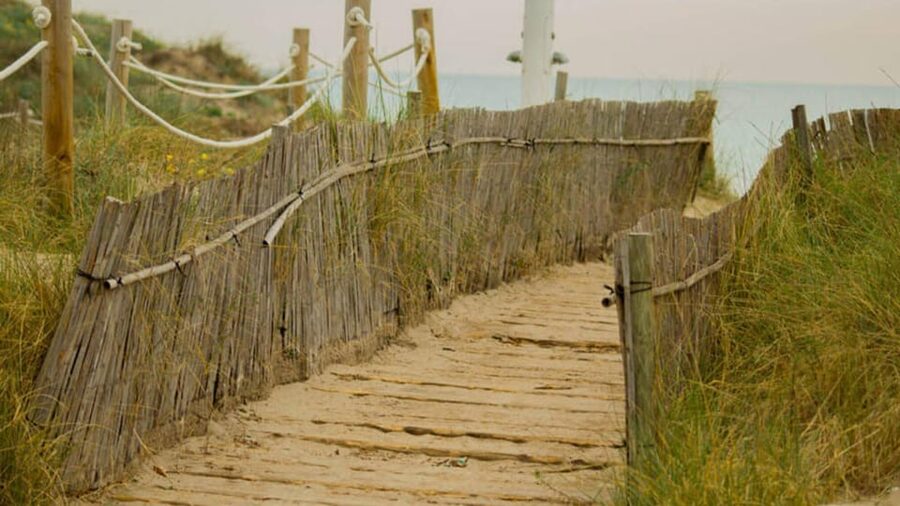 From Valencia: Albufera Natural Park Eco Boat Tour & Sunset - Morning vs sunset: which option fits your mood