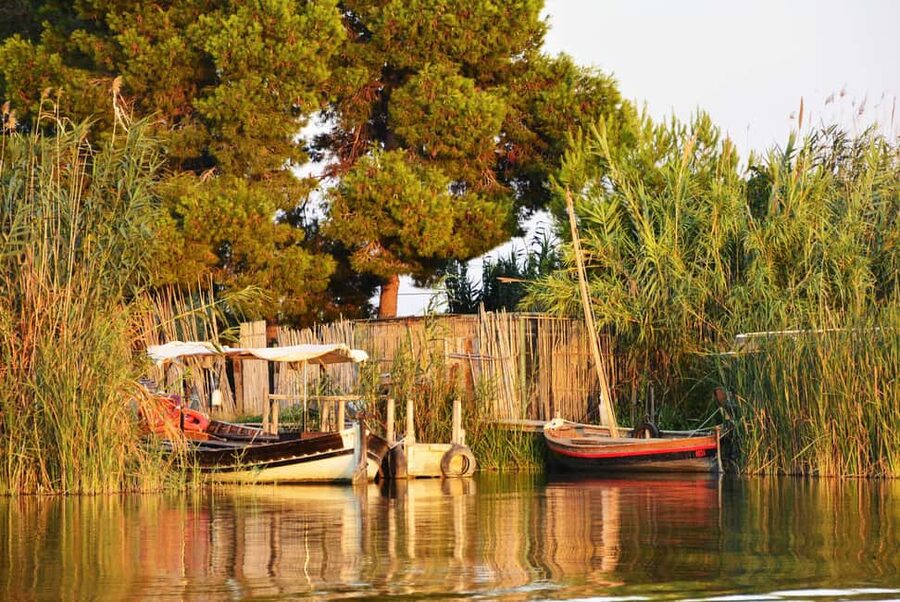 From Valencia: Albufera Natural Park with Sunset Boat Tour - Key things to know before you go