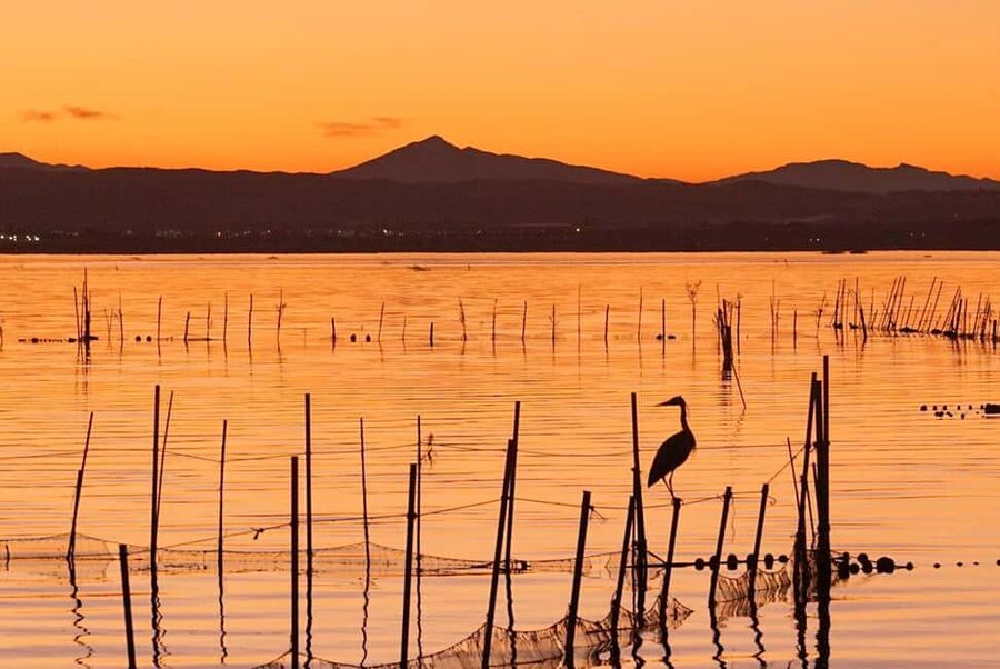 From Valencia: Albufera Natural Park with Sunset Boat Tour - Price and value: is $39 a good deal?