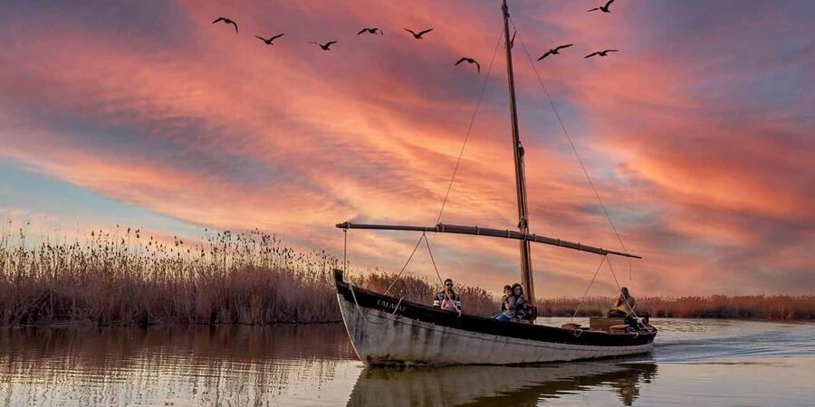 From Valencia: Albufera Natural Park with Sunset Boat Tour - Why Albufera at sunset feels worth the trip