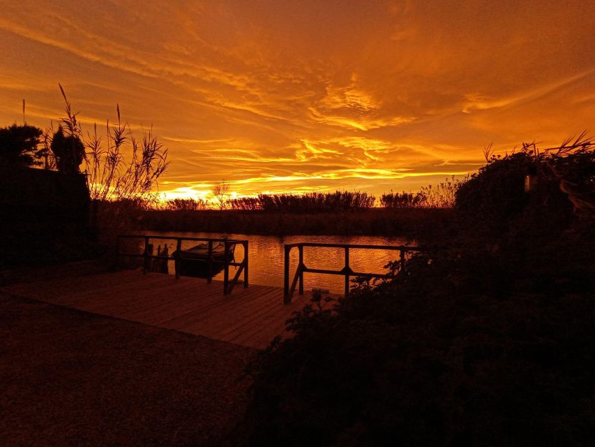 From Valencia: Albufera Natural Park with Sunset Boat Tour - Wildlife, plants, and what you can realistically expect