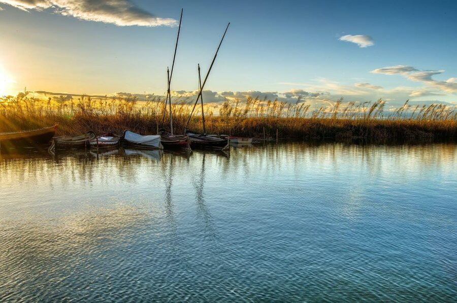 From Valencia: Albufera Natural Park with Sunset Boat Tour - What your bilingual guide does with the time