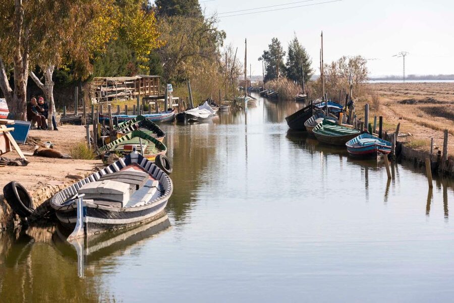 From Valencia: Albufera Natural Park with Sunset Boat Tour - Weather and comfort: how to prepare for a wetland sunset