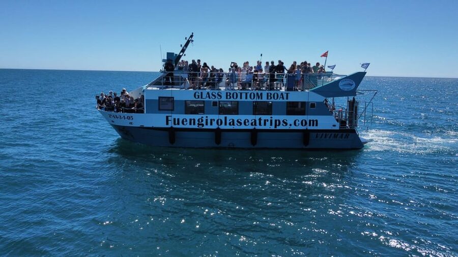 Fuengirola: Catamaran Tour to Spot Dolphins - Dock 3 in Fuengirola: Where You Actually Meet and What to Do First