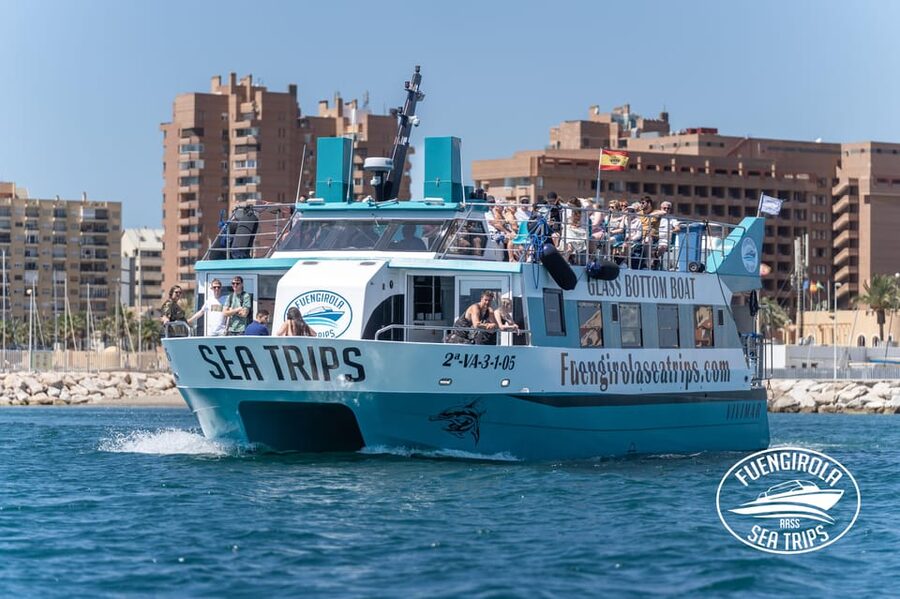 Fuengirola: Catamaran Tour to Spot Dolphins - Best Seats on the Catamaran: Upper Deck Views and Wheelchair Access