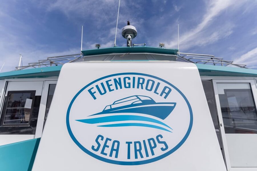 Fuengirola: Catamaran Tour to Spot Dolphins - Family-Friendly Value, and What to Plan for When the Sea Gets Choppy
