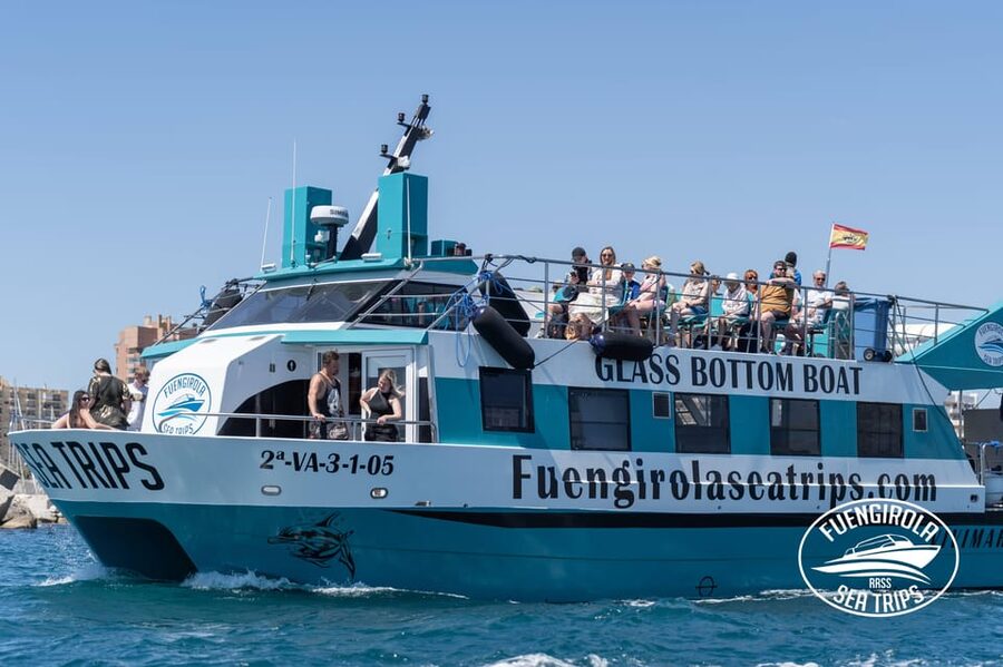 Fuengirola: Catamaran Tour to Spot Dolphins - How Dolphin-Spotting Works During the 2 Hours at Sea