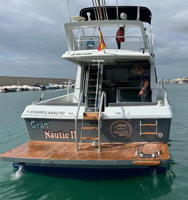 Fuengirola: Dolphin Spotting Tour - Leaving port in Fuengirola: what your first minutes feel like