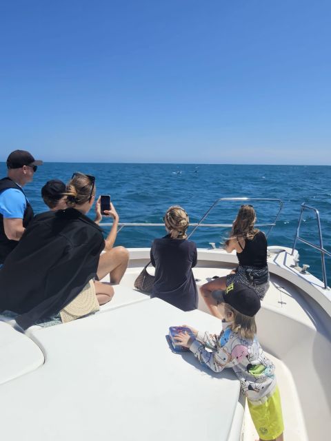 Fuengirola: Dolphin Watching Boat Trip — Fun for All Ages - Dolphins are the star, and whales sometimes join the show