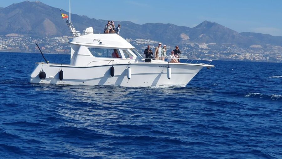 Fuengirola: Dolphin Watching Boat Trip — Fun for All Ages - Swim stop at sea: how to be ready for your cooling-off moment