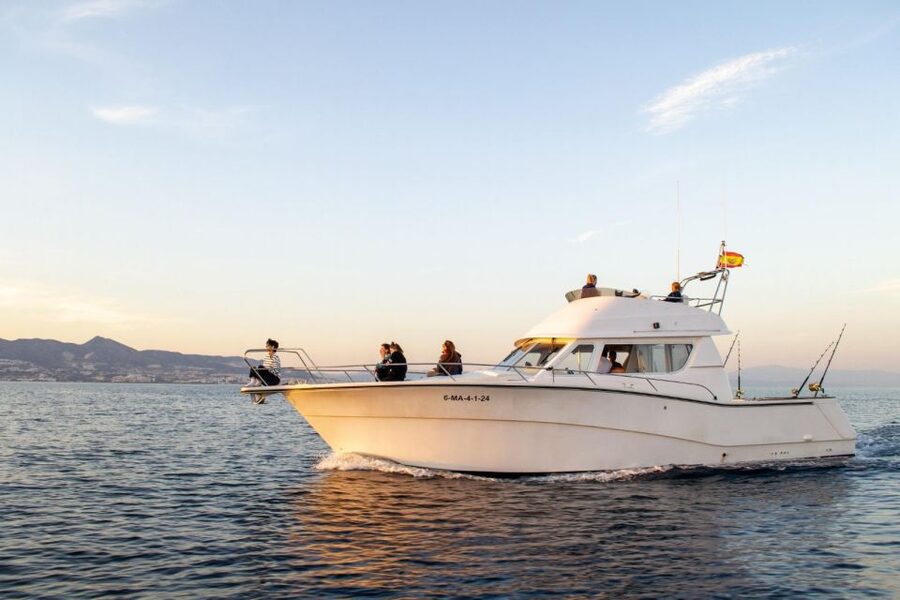 Fuengirola: Dolphin Watching Boat Trip — Fun for All Ages - The Rodman 12.5R boat and small-group setup you can feel