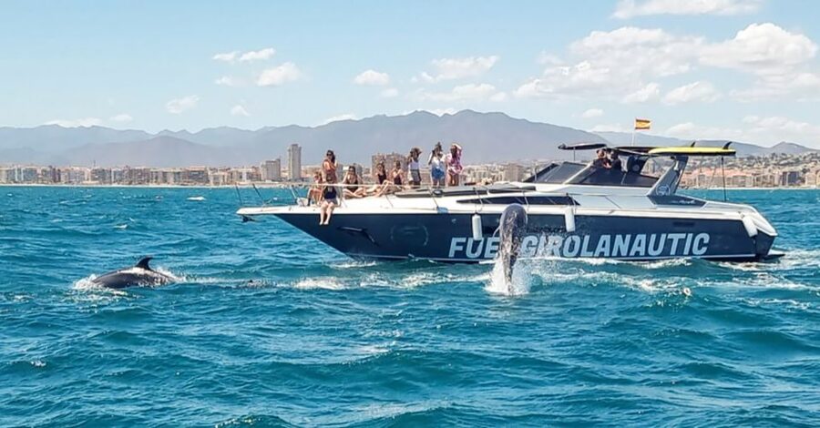 Fuengirola: Dolphin Watching by Yacht with Snacks and Drinks - Booking Decision: Should You Take This Dolphin Yacht Cruise?