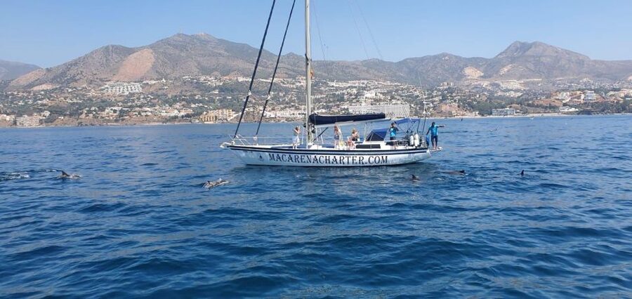 Fuengirola: Dolphin-Watching Sailing Tour with Drinks - Key highlights at a glance
