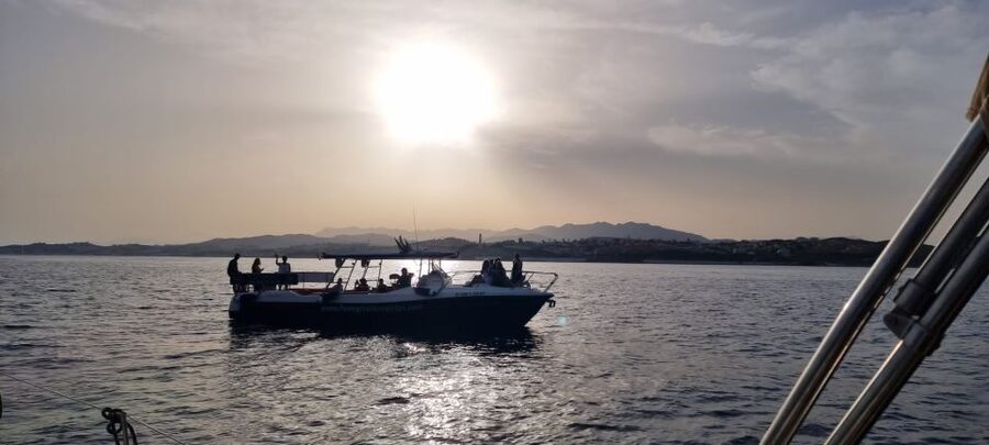 Fuengirola: Fantastic Dolphin Watching Yacht Tour with Drink - Key things to know before you go