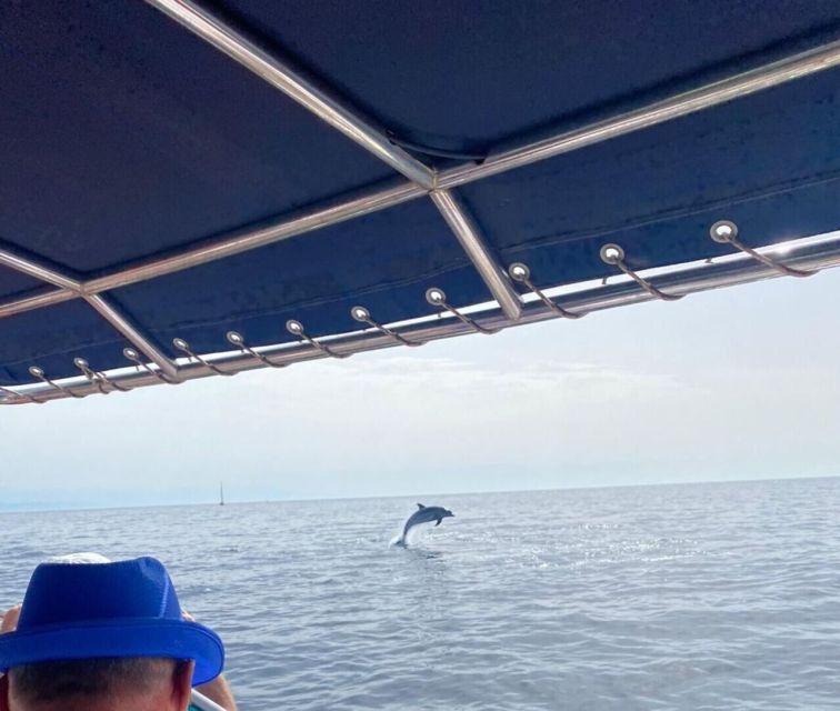 Fuengirola: Fantastic Dolphin Watching Yacht Tour with Drink - The Costa del Sol from the water: views you can actually photograph