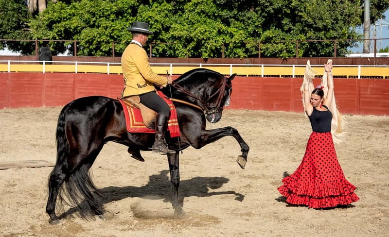 Fuengirola: Spanish Horse Show with Optional Dinner/Flamenco - Finca El Cartujano: A Spanish Night With a Farm Heart