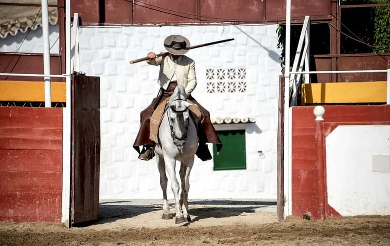 Fuengirola: Spanish Horse Show with Optional Dinner/Flamenco - Free Time After the Show: Stables, Photos, and Calm Horses