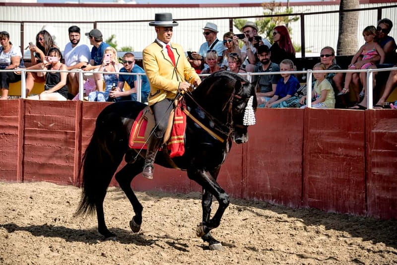 Fuengirola: Spanish Horse Show with Optional Dinner/Flamenco - Flamenco at 21:30: Soleas, Fandangos, and Rumbas