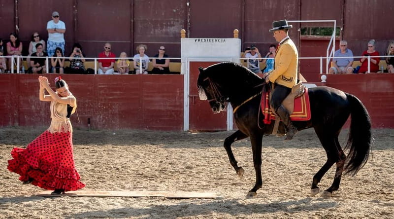 Fuengirola: Spanish Horse Show with Optional Dinner/Flamenco - The 18:00 Cartujano Horse Show, Led by Salvador Sanchez