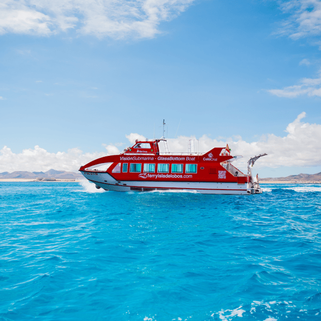 Fuerteventura: 1-Hour Mini Swim & Snorkel Cruise - Key Highlights You Should Care About