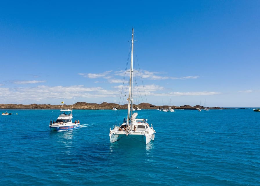 Fuerteventura : Catamaran excursion to Lobos Island - Should you book the Barracuda Perdomo Lobos island catamaran?