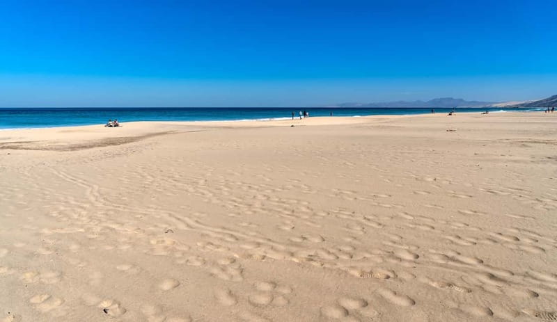 Fuerteventura: Cofete Beach Jeep Safari - Cofete Beach: how to use your limited time well