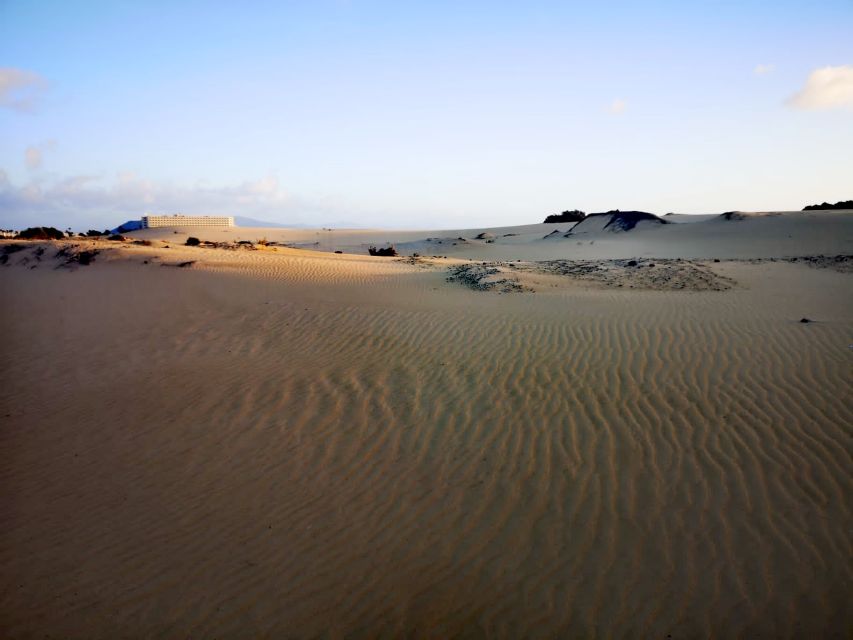 Fuerteventura: Corralejo Sand Dunes Guided Shore Excursion - Should you book this Corralejo dunes shore excursion?