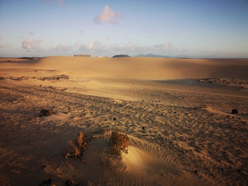 Fuerteventura: Corralejo Sand Dunes Guided Shore Excursion - Dunes and coves time: where swimming and photos fit