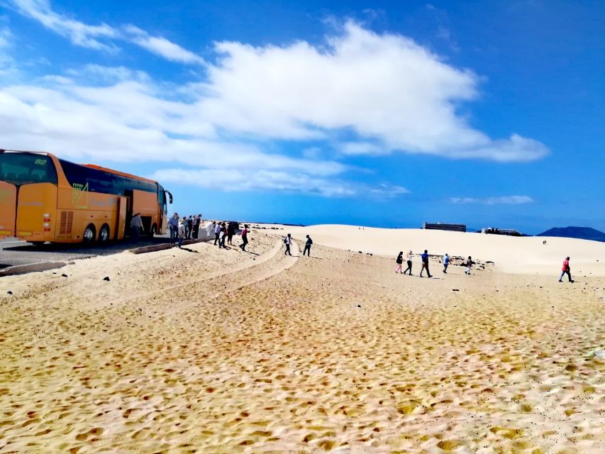 Fuerteventura: Corralejo Sand Dunes Guided Shore Excursion - Price and value: what you pay $23 for