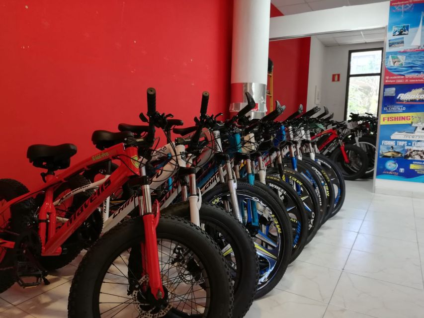 Fuerteventura: Explore the Area with a Bike Rental - Who This Bike Day Fits Best
