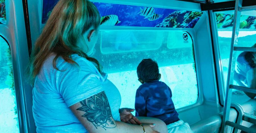 Fuerteventura: Glass Bottom Boat Cruise with Lunch & Drinks - Key things that make this cruise worth your time