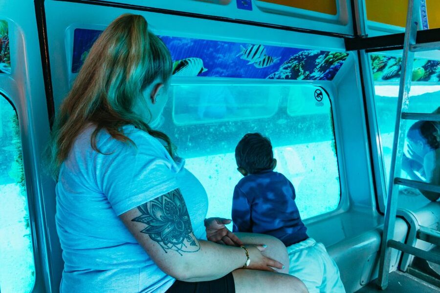 Fuerteventura: Glass Bottom Boat Cruise with Lunch & Drinks - Wildlife spotting: how the crew turns scanning into a real search