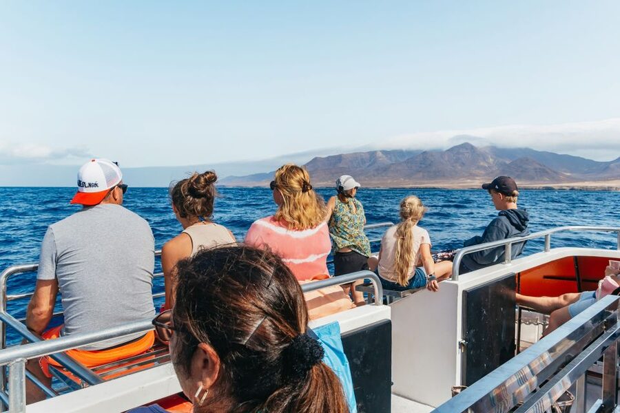 Fuerteventura: Glass Bottom Boat Cruise with Lunch & Drinks - The best part on a glass-bottom boat: what you can see without getting wet