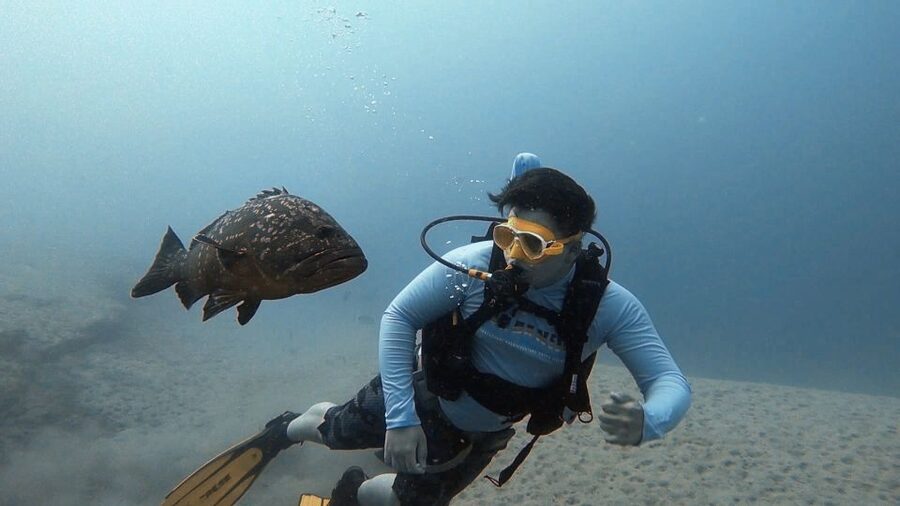 Fuerteventura: Introduction to Scuba Diving - Key Things That Make This Intro Scuba Session Worth It