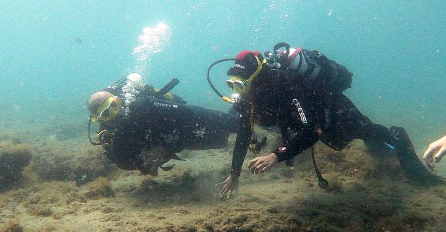 Fuerteventura: Introduction to Scuba Diving - Hotel Pickup From Costa Calma to La Lajita (And How to Not Get Lost)