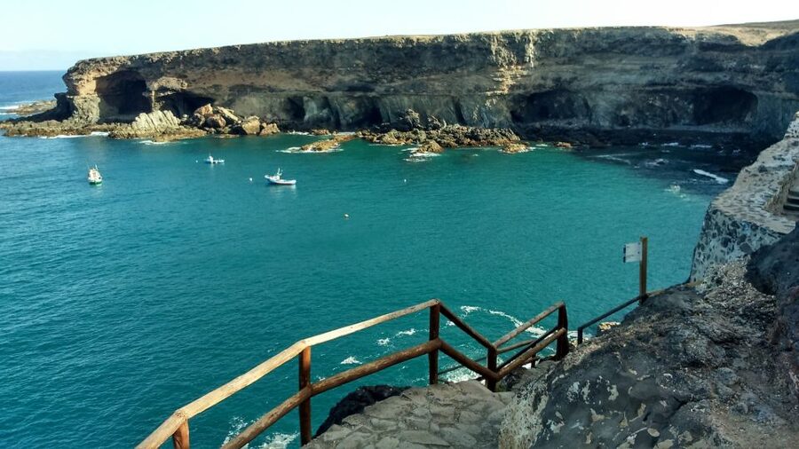 Fuerteventura: Island Tour by Minibus - Aloe vera and goat cheese farms: see how island culture tastes