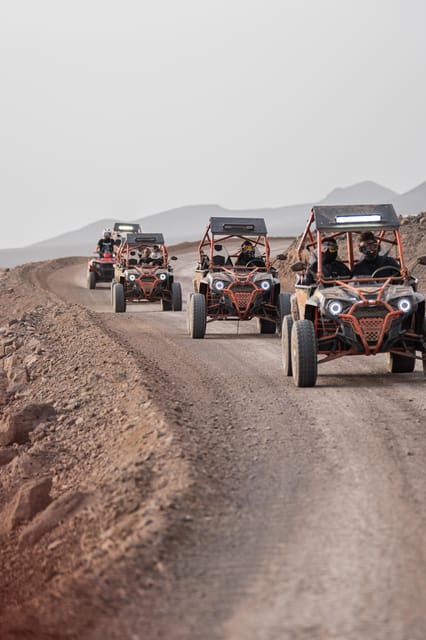 Fuerteventura: Jandía Natural Park & The Puertito Buggy Tour - Key points to know before you go