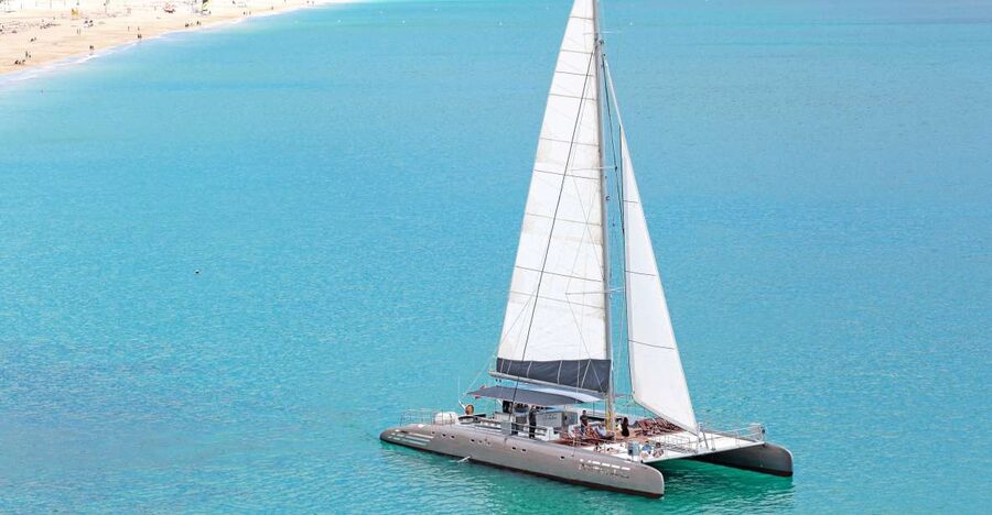 Fuerteventura: Magic Catamaran Trip with Food and Drinks - Jandía dolphin and whale watching: what the timing is really for