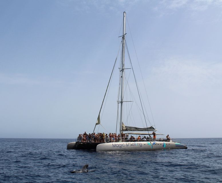 Fuerteventura: Magic Catamaran Trip with Food and Drinks - The Jandía swim stop: 30 minutes, life jackets, and tide awareness