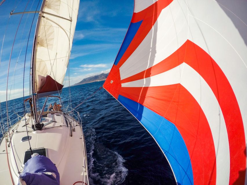 Fuerteventura: Sailing with Snorkeling and Dolphin Watching - Who Should Book This Fuerteventura Dolphin Cruise