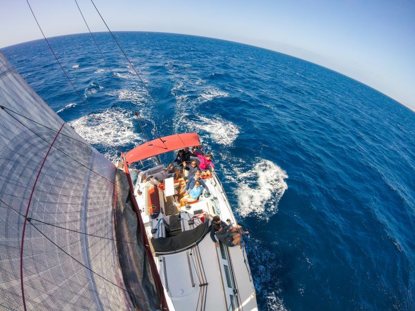 Fuerteventura: Sailing with Snorkeling and Dolphin Watching - Wildlife Search Along the Southern Coast of Fuerteventura