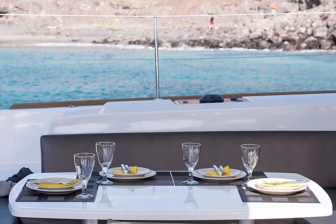 Fuerteventura: Small-Group Magic Deluxe Catamaran Cruise - Dolphin watching on a catamaran: what it feels like