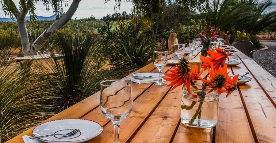 Fuerteventura: Tapas and Local Life Guided Tour - Majorero goat cheese and why the wine pairing works