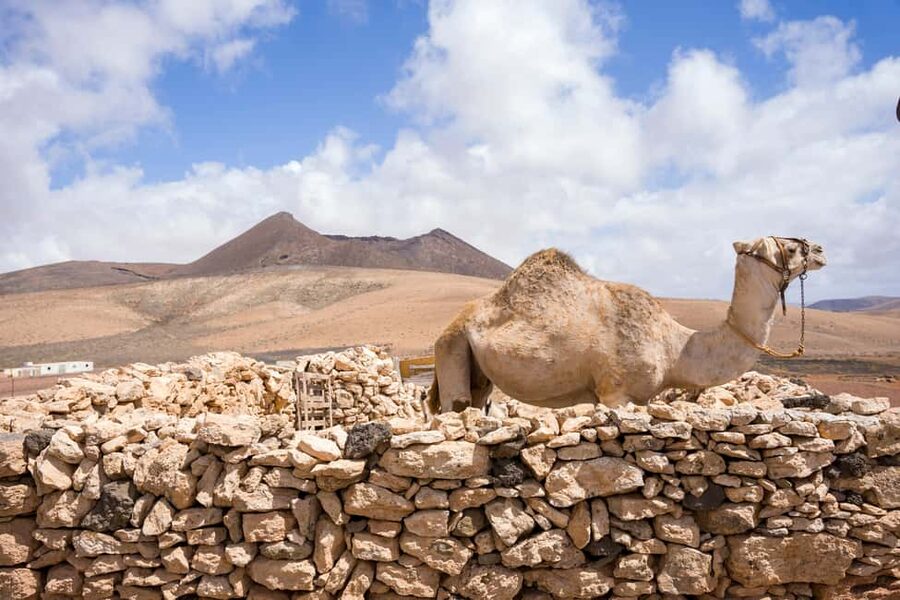 Fuerteventura: volcanic hike to the crater edge - How hard is it, really? Fit and footgear