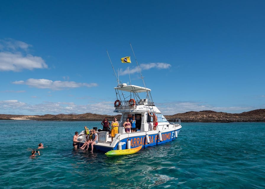 Fuerteventura: Whale & Dolphin Watching Boat Tour with Guide - Getting Ready at the Barracuda Perdomo Meeting Point Huts